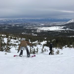 Meet your Posher, Grace